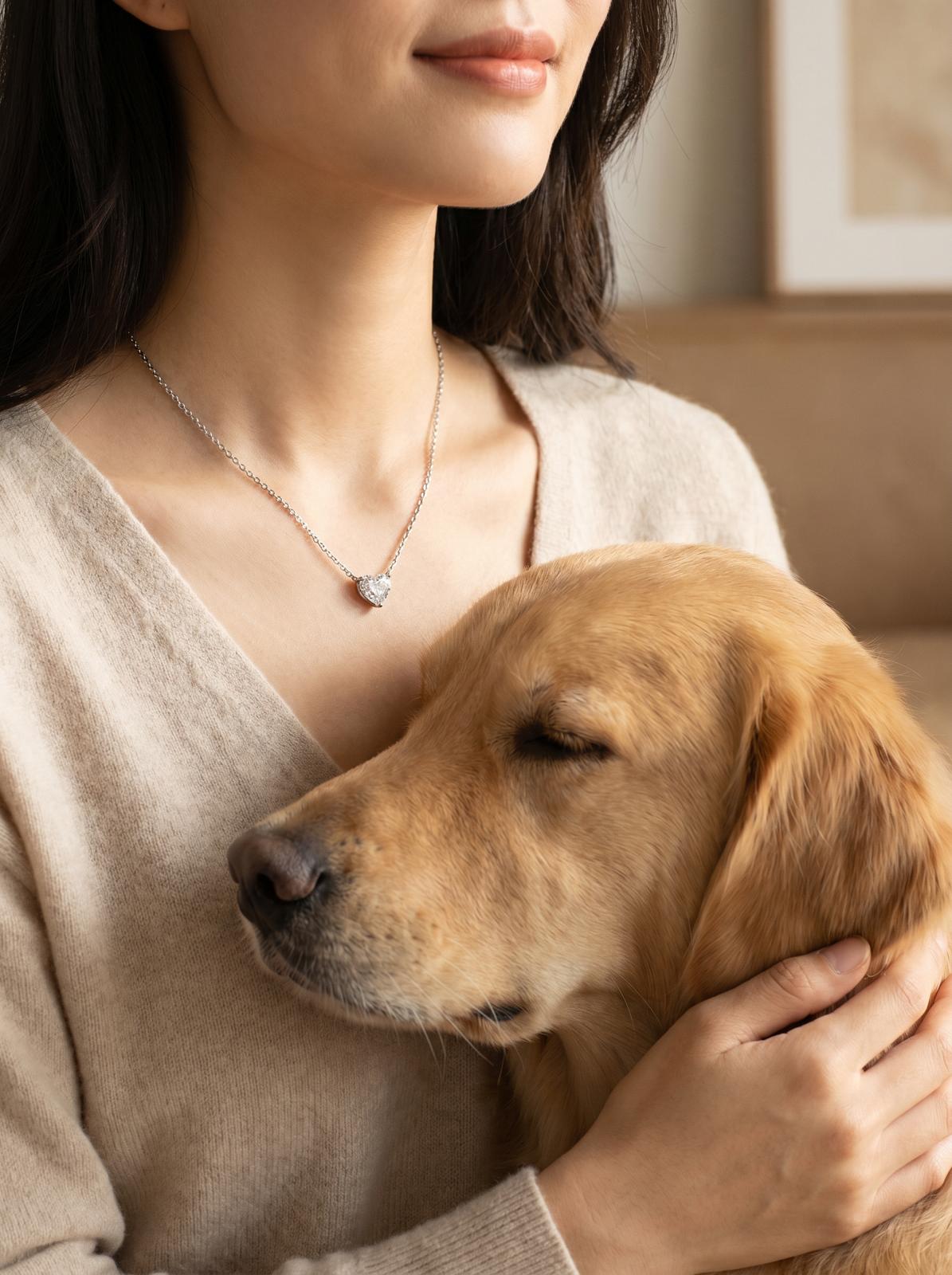A beloved companion — in memory of a pet